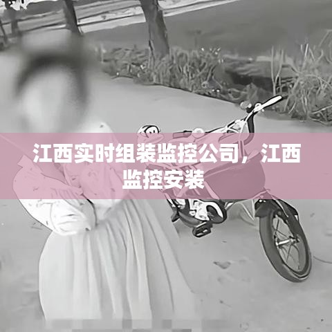 江西实时组装监控公司,江西监控安装