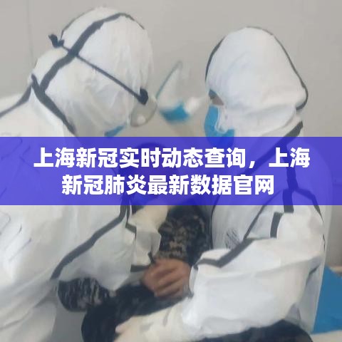 上海新冠实时动态查询,上海新冠肺炎最新数据官网