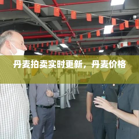 丹麦拍卖实时更新,丹麦价格