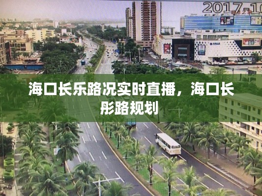 海口长乐路况实时直播,海口长彤路规划