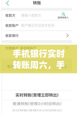 手机银行实时转账周六,手机银行实时转账周六日能转吗
