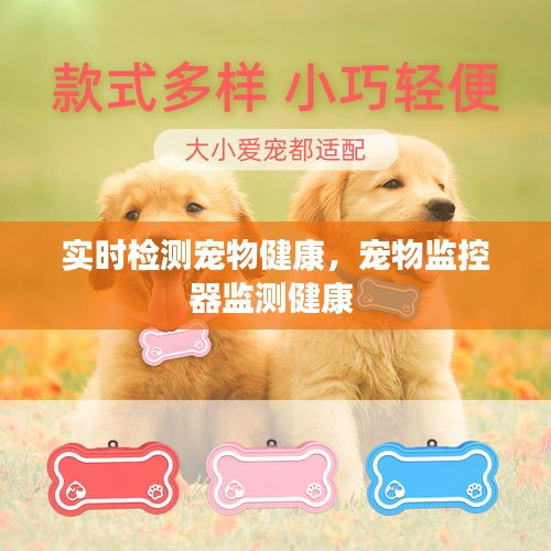 实时检测宠物健康,宠物监控器监测健康