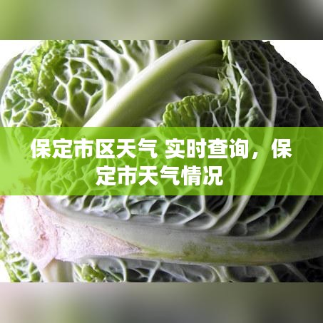 保定市区天气 实时查询,保定市天气情况