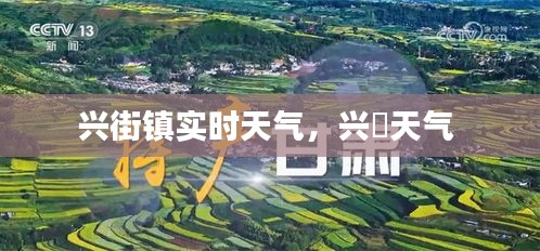 兴街镇实时天气,兴囯天气