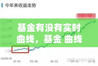 基金有没有实时曲线,基金 曲线