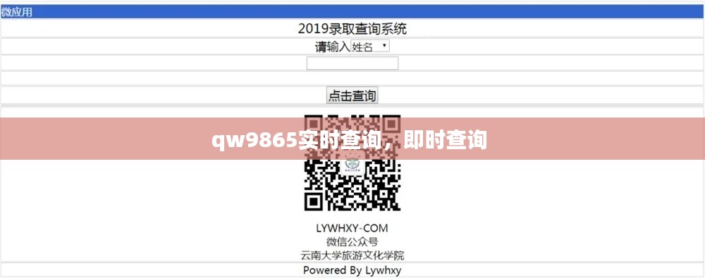 qw9865实时查询,即时查询