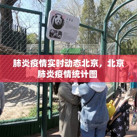 肺炎疫情实时动态北京,北京肺炎疫情统计图