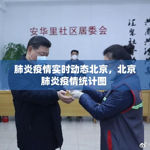 肺炎疫情实时动态北京,北京肺炎疫情统计图