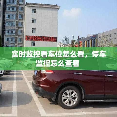 实时监控看车位怎么看,停车监控怎么查看