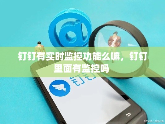 钉钉有实时监控功能么嘛,钉钉里面有监控吗