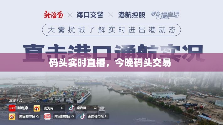 码头实时直播,今晚码头交易