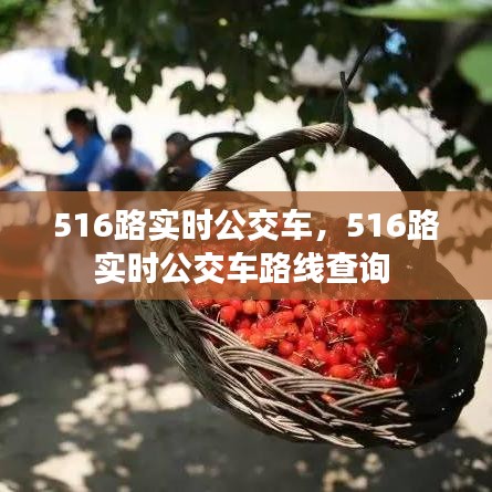 516路实时公交车,516路实时公交车路线查询