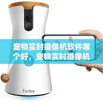宠物实时摄像机软件哪个好,宠物实时摄像机软件哪个好一点