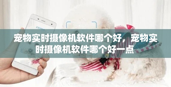 宠物实时摄像机软件哪个好,宠物实时摄像机软件哪个好一点