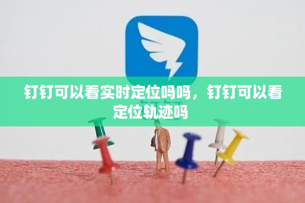 钉钉可以看实时定位吗吗,钉钉可以看定位轨迹吗