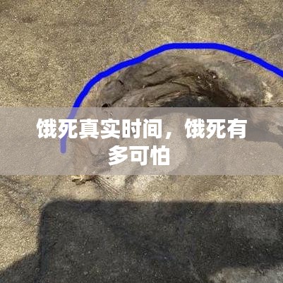 饿死真实时间,饿死有多可怕