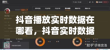 抖音播放实时数据在哪看,抖音实时数据怎么看