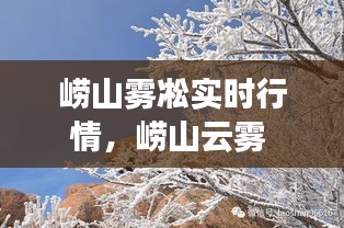 崂山雾凇实时行情,崂山云雾