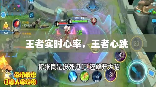 王者实时心率,王者心跳