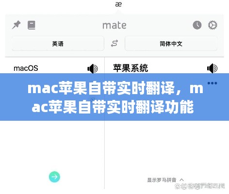 mac苹果自带实时翻译,mac苹果自带实时翻译功能