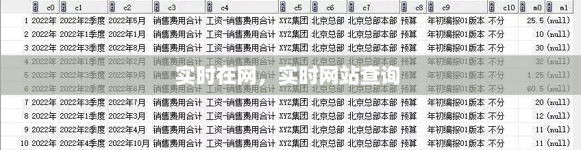 实时在网,实时网站查询