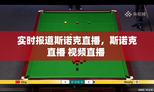 实时报道斯诺克直播,斯诺克直播 视频直播