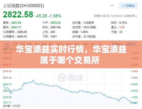 华宝添益实时行情,华宝添益属于哪个交易所