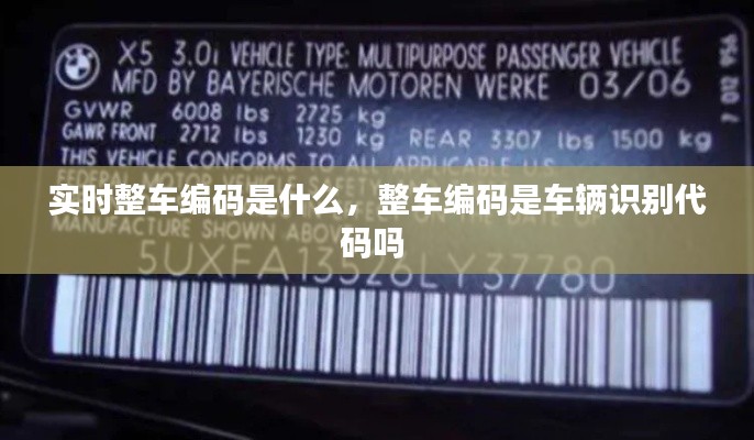 实时整车编码是什么,整车编码是车辆识别代码吗