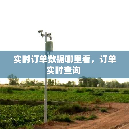 实时订单数据哪里看,订单实时查询