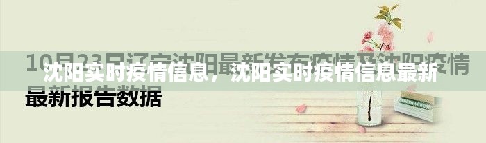 沈阳实时疫情信息,沈阳实时疫情信息最新