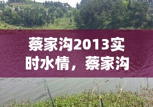 蔡家沟2013实时水情,蔡家沟水库能不能钓鱼