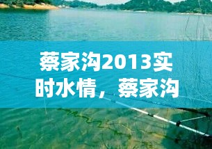 蔡家沟2013实时水情,蔡家沟水库能不能钓鱼