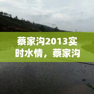 蔡家沟2013实时水情,蔡家沟水库能不能钓鱼