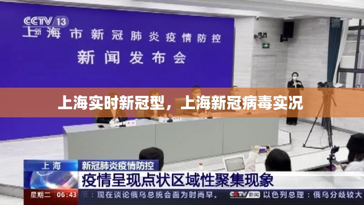 上海实时新冠型,上海新冠病毒实况