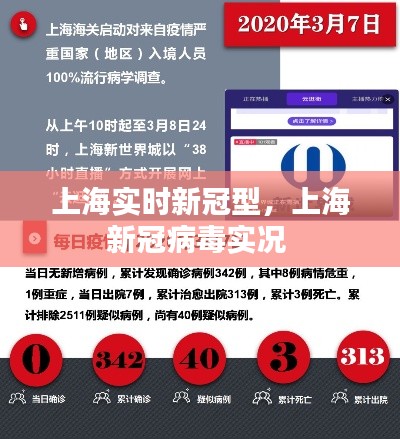 上海实时新冠型,上海新冠病毒实况