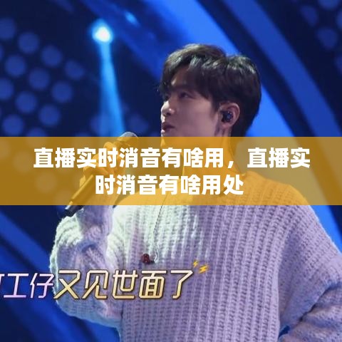 直播实时消音有啥用,直播实时消音有啥用处
