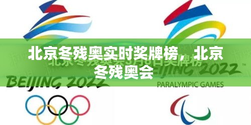 北京冬残奥实时奖牌榜,北京冬残奥会