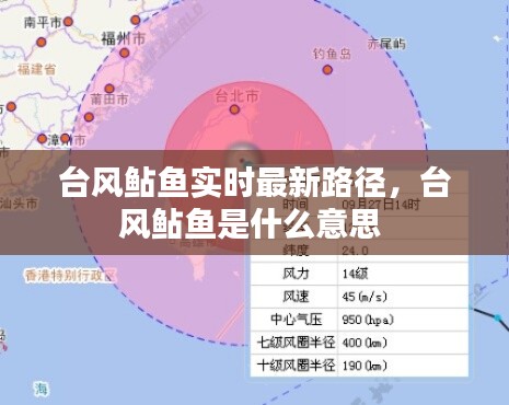 台风鲇鱼实时最新路径,台风鲇鱼是什么意思