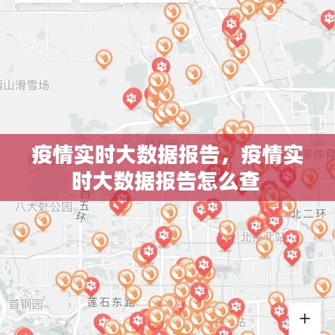 疫情实时大数据报告,疫情实时大数据报告怎么查