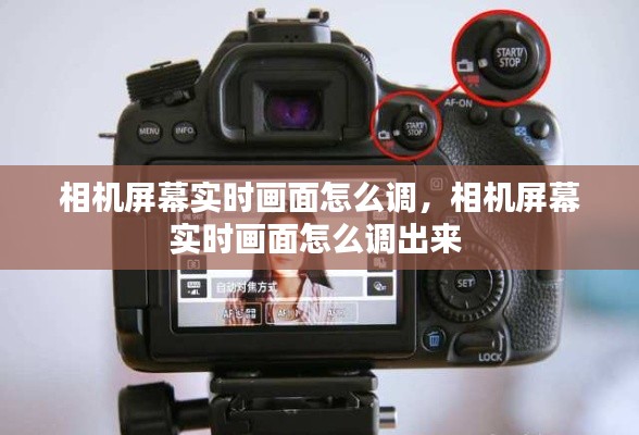 相机屏幕实时画面怎么调,相机屏幕实时画面怎么调出来