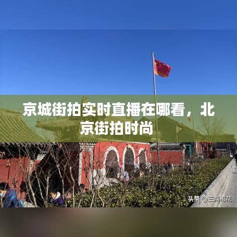 京城街拍实时直播在哪看,北京街拍时尚
