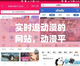 实时追动漫的网站,动漫平台追番的app叫什么