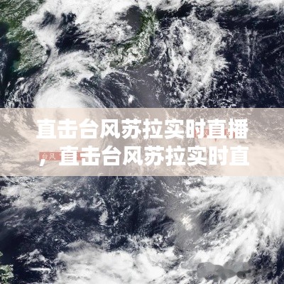 直击台风苏拉实时直播,直击台风苏拉实时直播视频