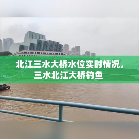 北江三水大桥水位实时情况,三水北江大桥钓鱼
