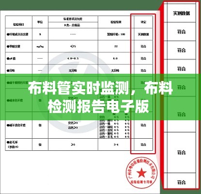 布料管实时监测,布料检测报告电子版