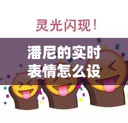 潘尼的实时表情怎么设置,潘尼的实时表情怎么设置的