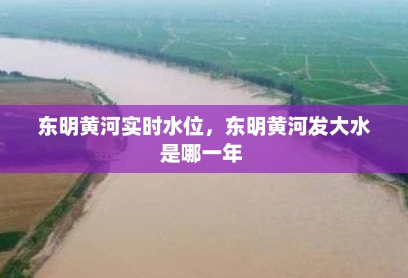 东明黄河实时水位,东明黄河发大水是哪一年