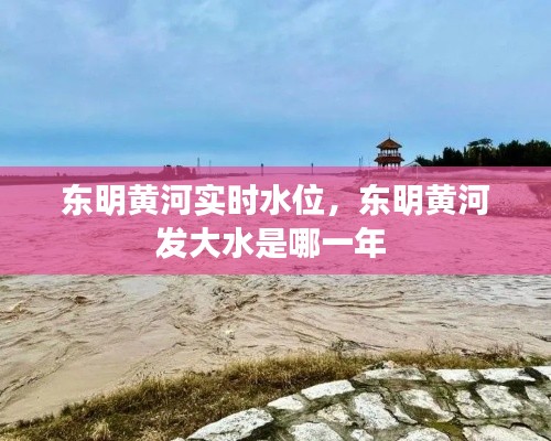 东明黄河实时水位,东明黄河发大水是哪一年