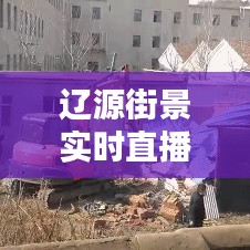 辽源街景实时直播,辽源全景地图