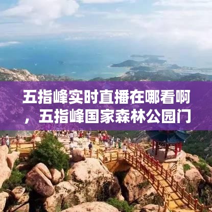 五指峰实时直播在哪看啊,五指峰国家森林公园门票